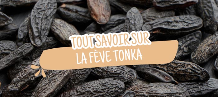 tout-savoir-feve-tonka 