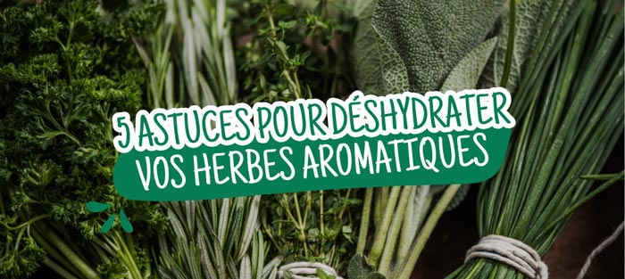 astuces-deshydratrees-herbes-aromatiques 